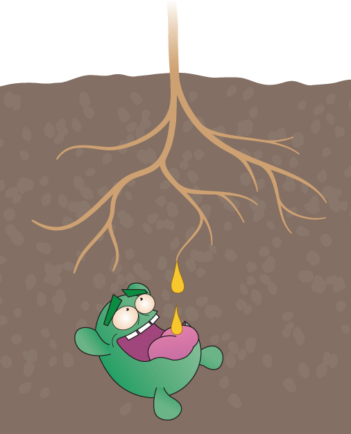 An intended leak