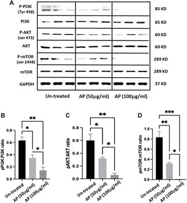 Arum palaestinum delays hepatocellular carcinoma proliferation through the PI3K-AKT-mTOR signaling pathway and exhibits anticoagulant effects with antimicrobial properties