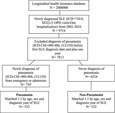Traditional Chinese medicine use is associated with lower risk of pneumonia in patients with systemic lupus erythematosus: a population-based retrospective cohort study