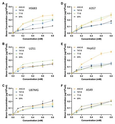 Boron-peptide conjugates with angiopep-2 for boron neutron capture therapy