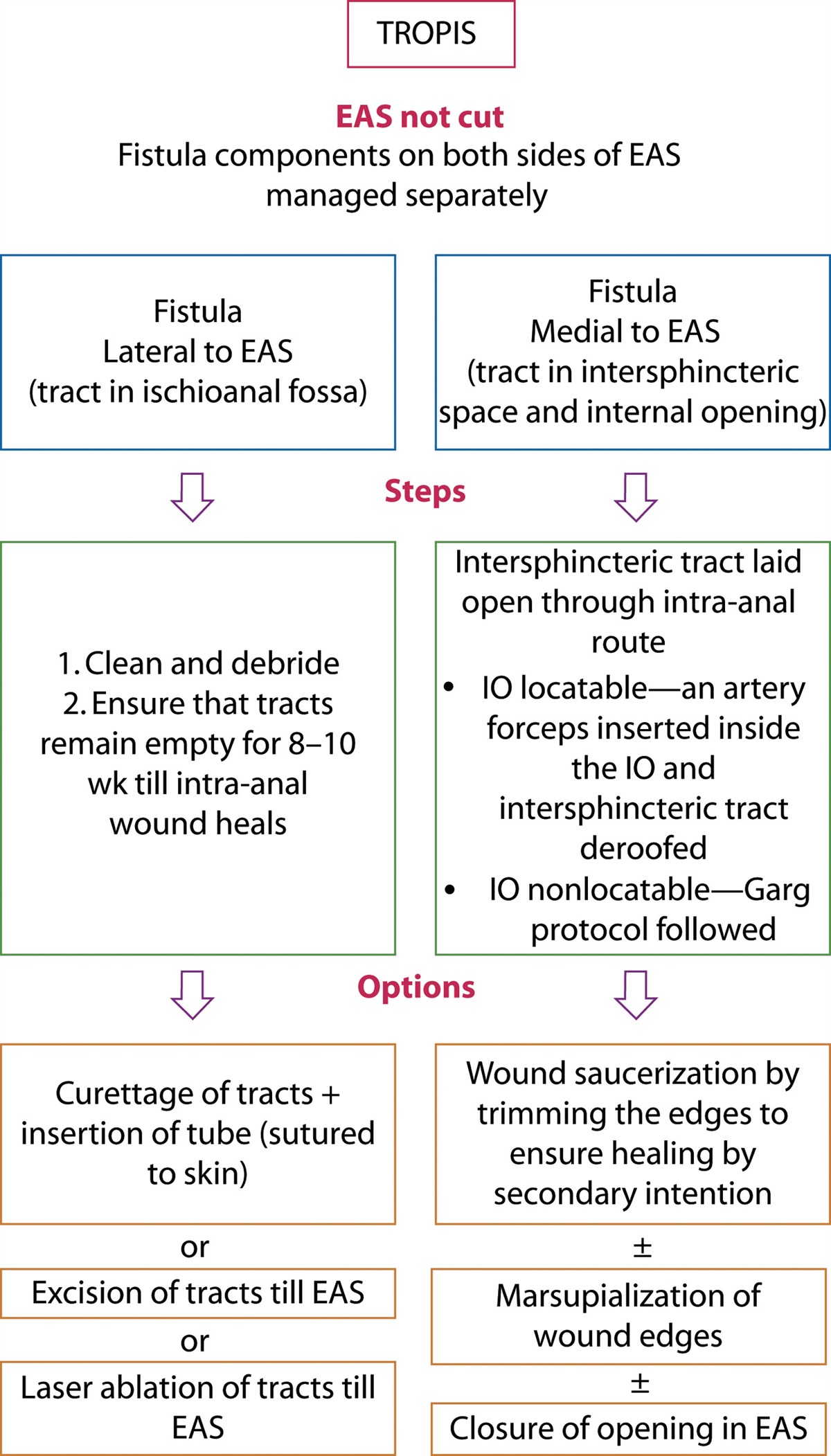 Transanal Opening of Intersphincteric Space: A Novel Procedure to Manage Highly Complex Anal Fistulas