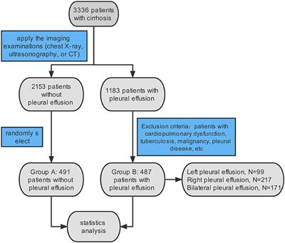 Risk factors for hepatic hydrothorax in patients with cirrhosis: a clinical retrospective study