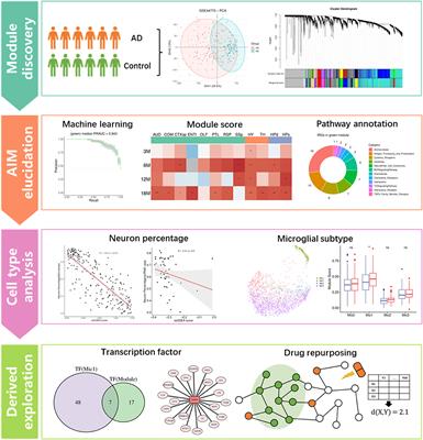 Uncovering neuroinflammation-related modules and potential repurposing drugs for Alzheimer's disease through multi-omics data integrative analysis
