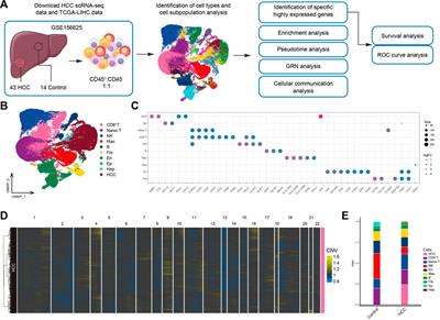 Single-cell RNA sequencing reveals cell subpopulations in the tumor microenvironment contributing to hepatocellular carcinoma