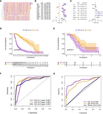 Construction of a telomere-related gene signature to predict prognosis and immune landscape for glioma