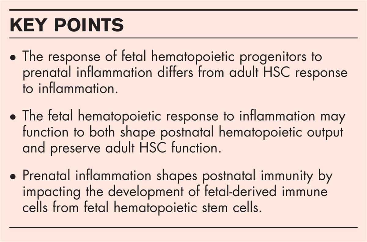 The impact of prenatal inflammation on hematopoietic development