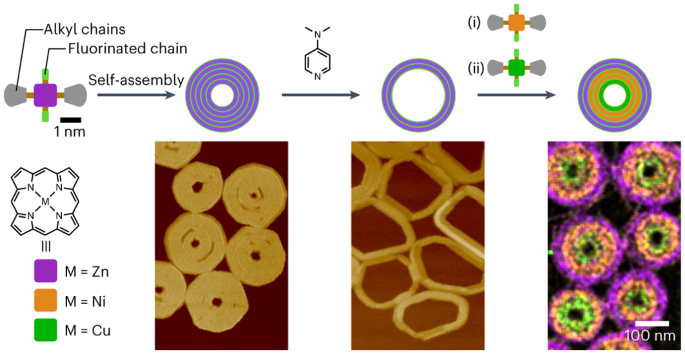 Multistep, site-selective noncovalent synthesis of two-dimensional block supramolecular polymers