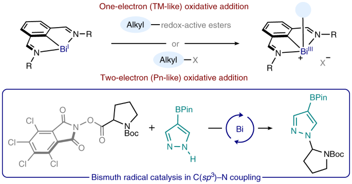 Bismuth radical catalysis in the activation and coupling of redox-active electrophiles