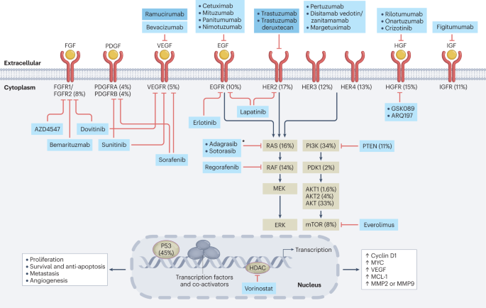 Early stage gastric adenocarcinoma: clinical and molecular landscapes