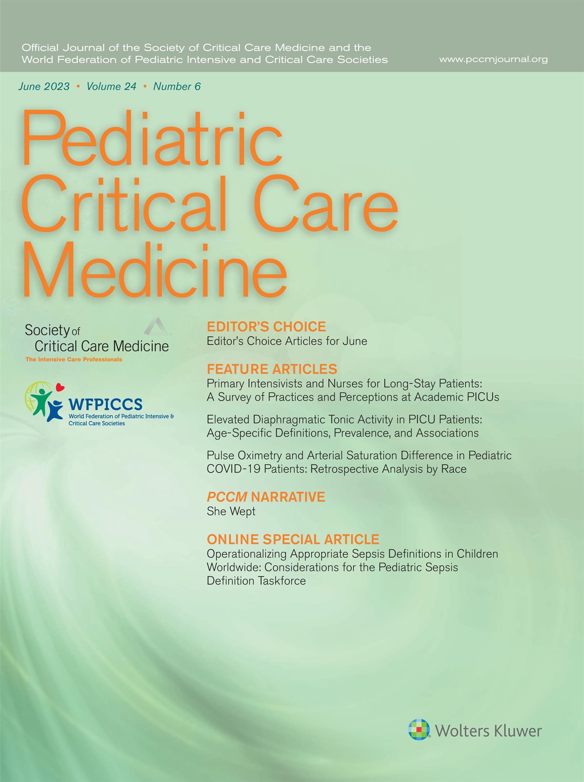 Pediatric Intensive Care Development When Resources Are Scarce and Demand Is Potentially Very High*