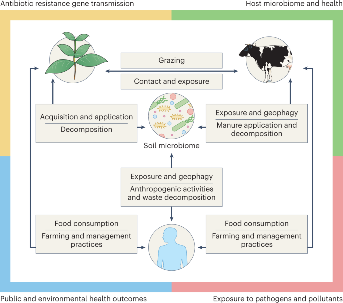 Soil microbiomes must be explicitly included in One Health policy