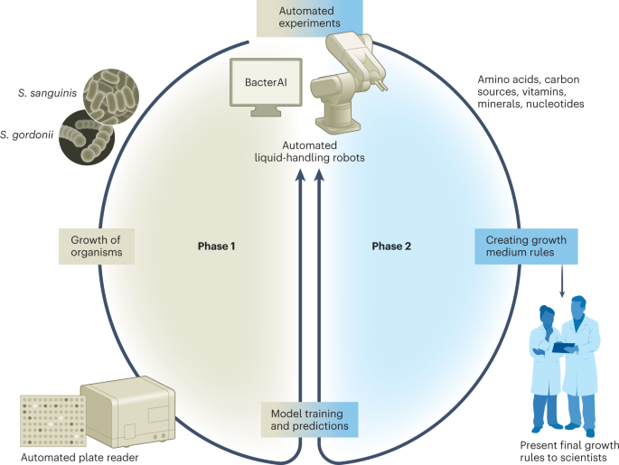 Gaming bacterial metabolism
