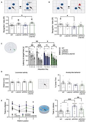 c-Abl tyrosine kinase down-regulation as target for memory improvement in Alzheimer’s disease