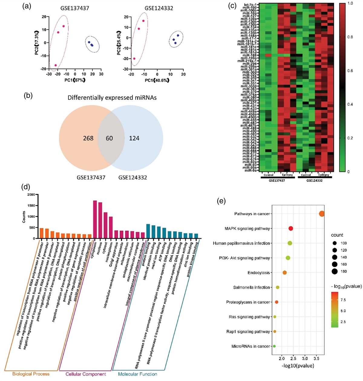 miR-10a induces inflammatory responses in epileptic hippocampal neurons of rats via PI3K/Akt/mTOR signaling pathway