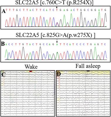 A report of a pedigree with compound heterozygous mutations in the SLC22A5 gene