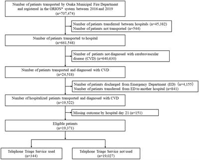 Telephone triage service use is associated with better outcomes among patients with cerebrovascular diseases: a propensity score analysis using population-based data