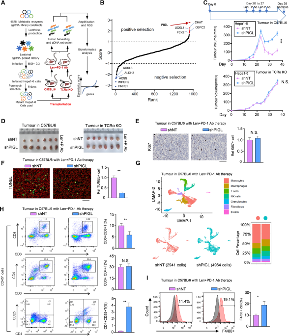 Elevated nuclear PIGL disrupts the cMyc/BRD4 axis and improves PD-1 blockade therapy by dampening tumor immune evasion