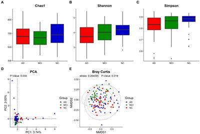 Gut microbiota and intestinal barrier function in subjects with cognitive impairments: a cross-sectional study