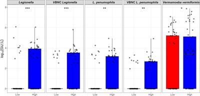 Stagnation arising through intermittent usage is associated with increased viable but non culturable Legionella and amoeba hosts in a hospital water system