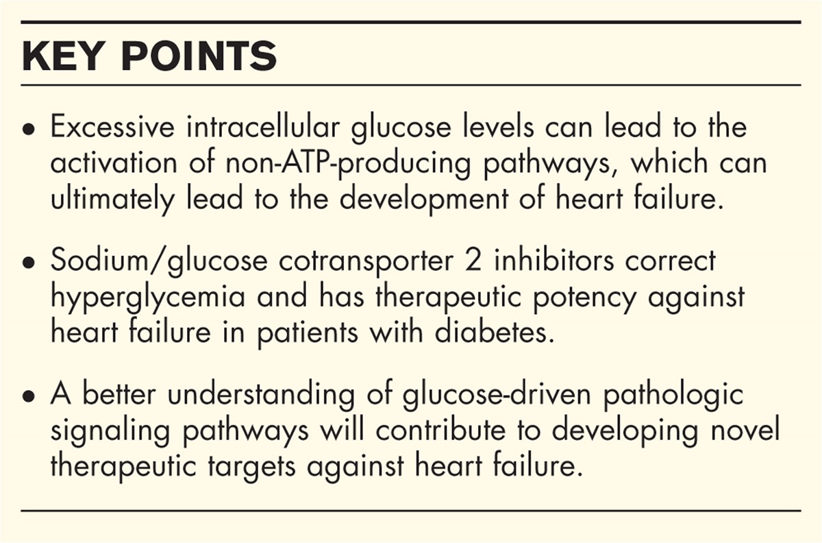 The role of glucose in cardiac physiology and pathophysiology