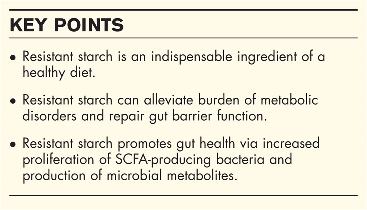 Dietary supplementation with resistant starch contributes to intestinal health