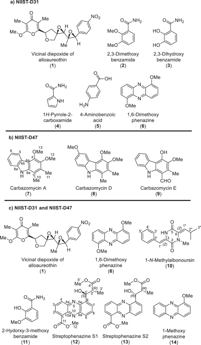 Isolation of two new stereochemical variants of streptophenazine by cocultivation of Streptomyces NIIST-D31, Streptomyces NIIST-D47, and Streptomyces NIIST-D63 strains in 3C2 combinations