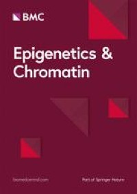 Assignment of the somatic A/B compartments to chromatin domains in giant transcriptionally active lampbrush chromosomes