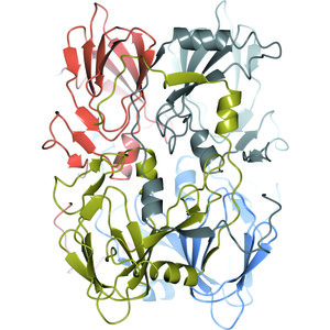 Crystal structure of the monocupin ring-cleaving dioxygenase 5-nitrosalicylate 1,2-dioxygenase from Bradyrhizobium sp.