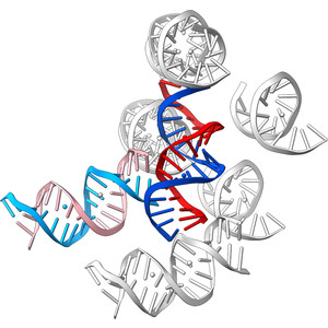 Conformation-based refinement of 18-mer DNA structures