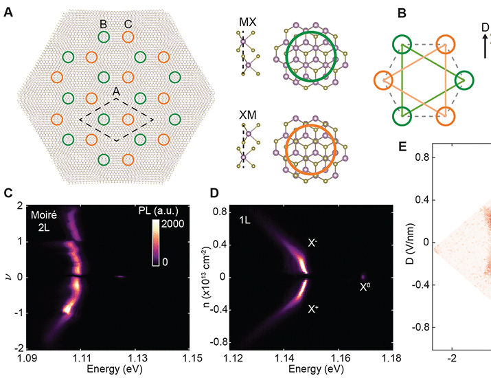 Programming correlated magnetic states with gate-controlled moiré geometry | Science