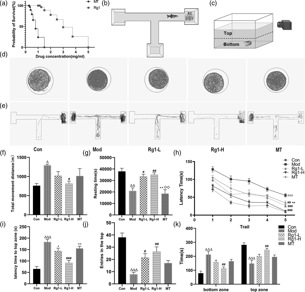 Ginsenoside Rg1 alleviates sleep deprivation-induced learning and memory impairment by inhibiting excessive neuronal apoptosis in zebrafish