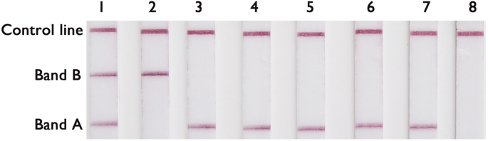Rapid detection of fluoroquinolone resistance in Mycobacterium tuberculosis using a novel multienzyme isothermal rapid assay