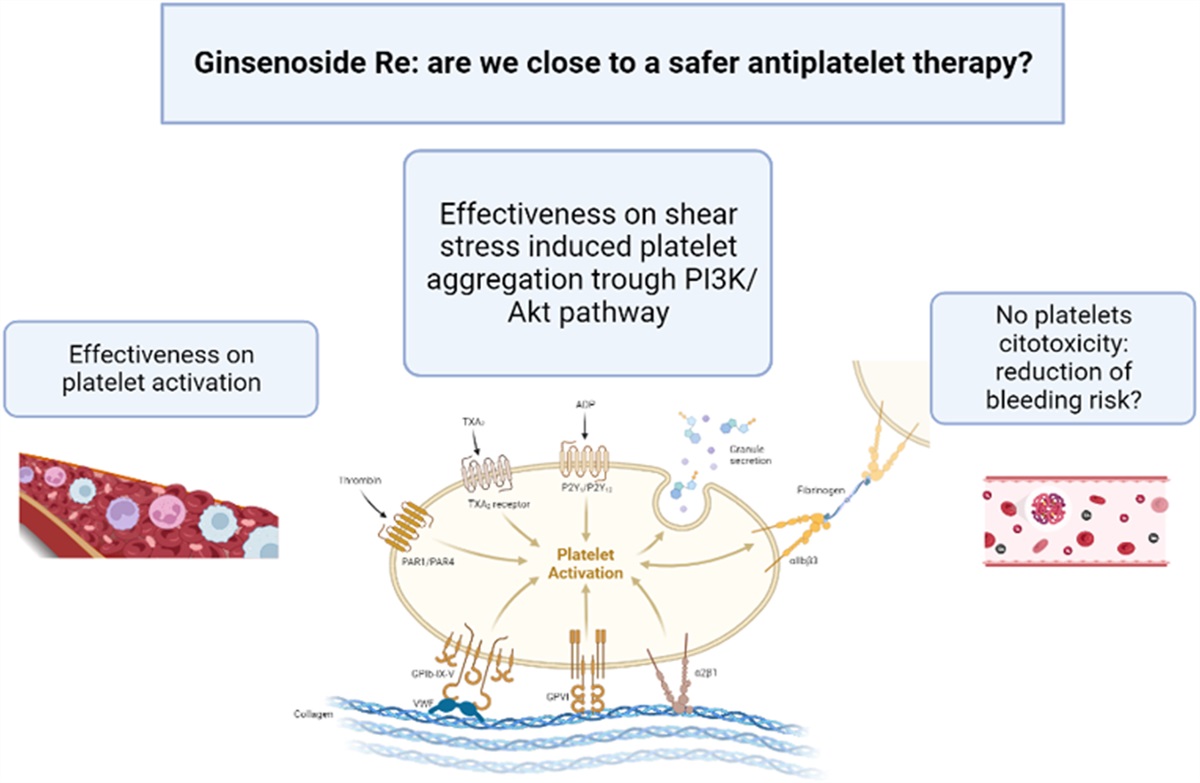 Ginsenoside Re: Are we Close to a Safer Antiplatelet Therapy?