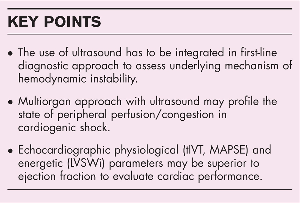 Multimodality imaging in cardiogenic shock: state-of-the art