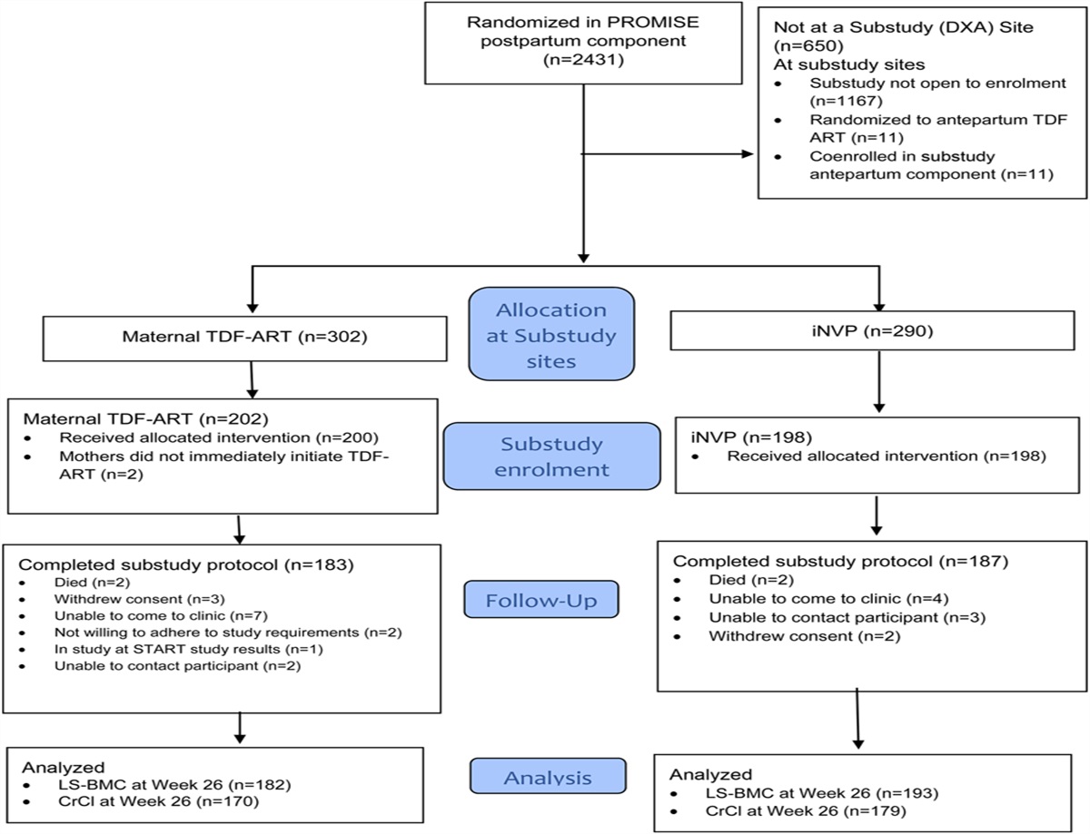 Bone and Renal Health in Infants With or Without Breastmilk Exposure to Tenofovir-Based Maternal Antiretroviral Treatment in the PROMISE Randomized Trial