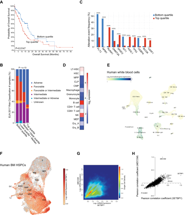 Preclinical Pharmacokinetic And Pharmacodynamic Evaluation Of Dasatinib ...