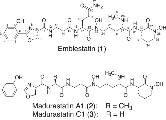 Emblestatin: a new peptide antibiotic from Embleya scabrispora K20-0267