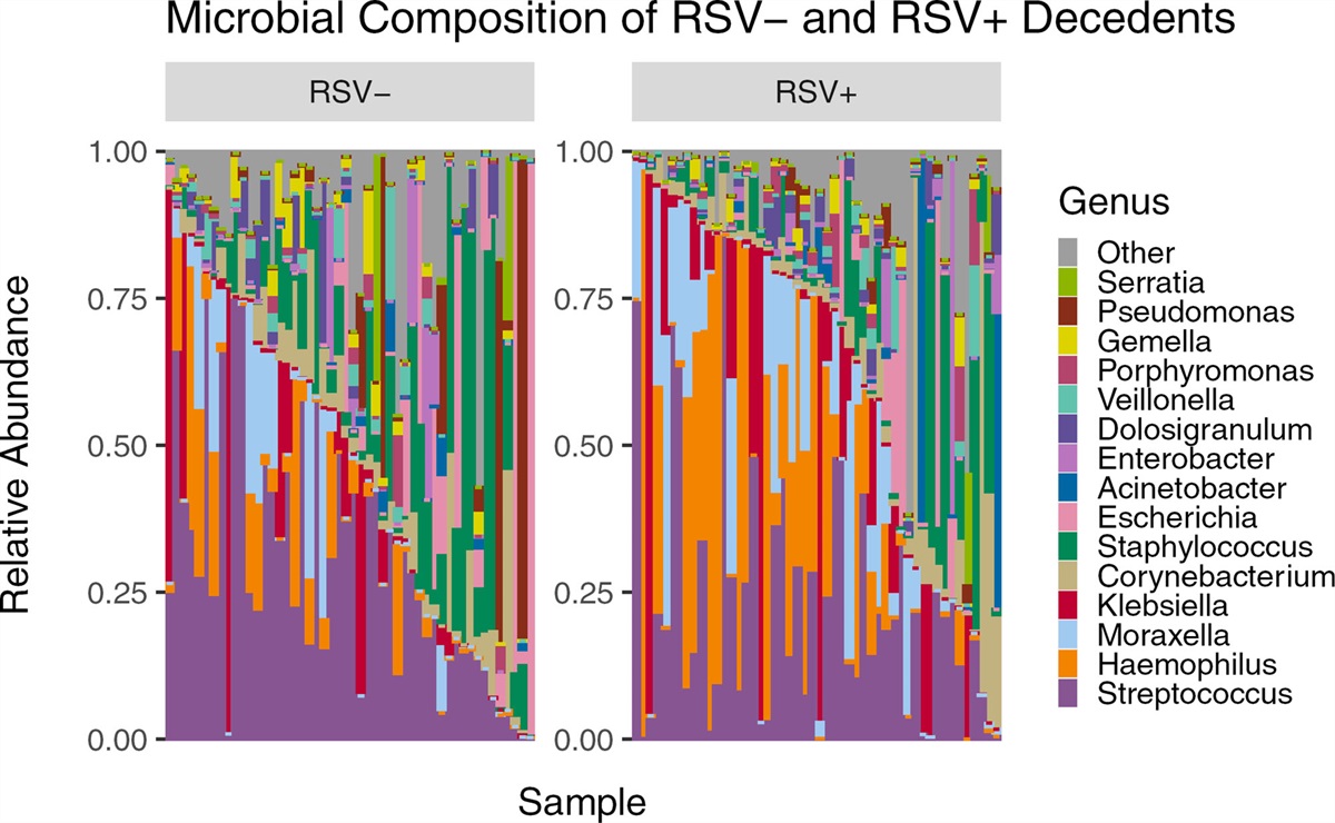 Postmortem Nasopharyngeal Microbiome Analysis of Zambian Infants With and Without Respiratory Syncytial Virus Disease: A Nested Case Control Study