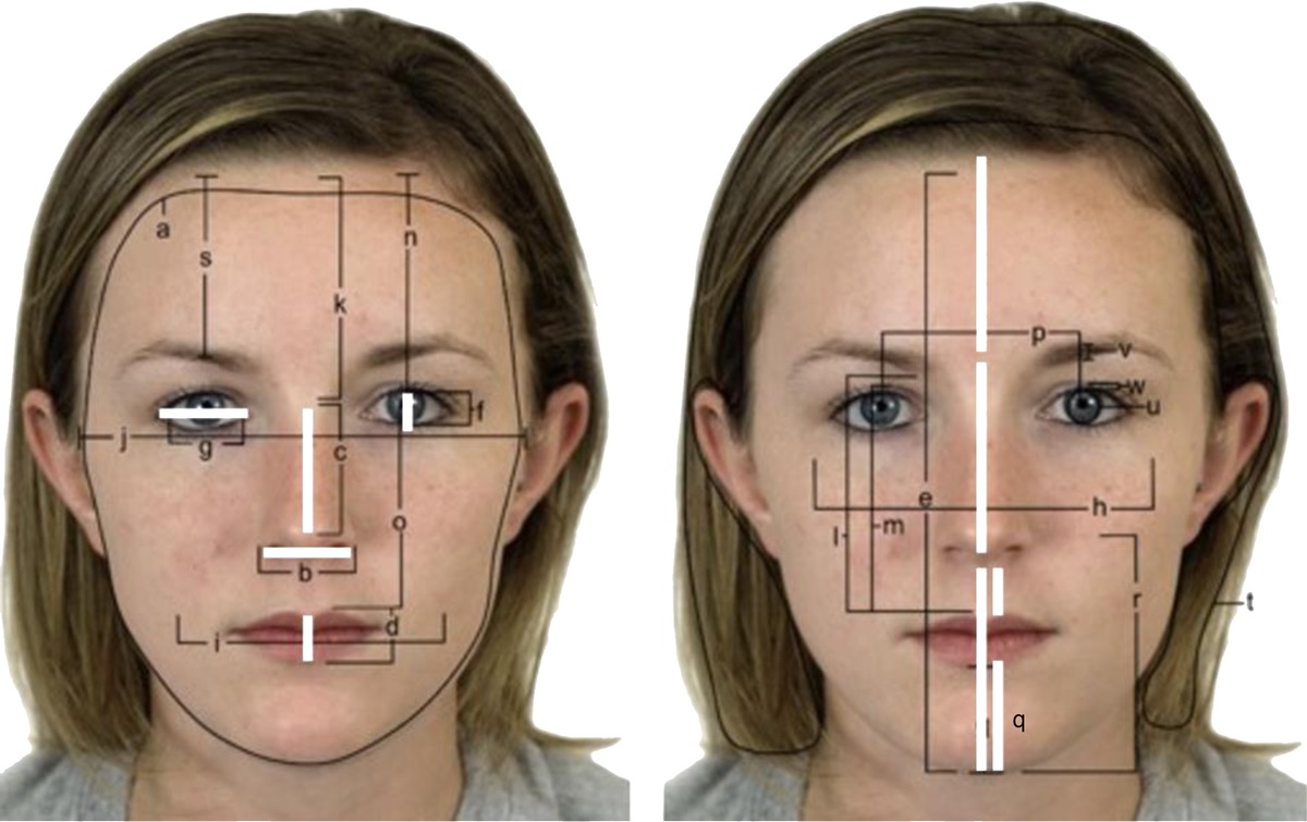Real Face Analysis of Masculinity-Femininity, Facial Ratios, and Attractiveness