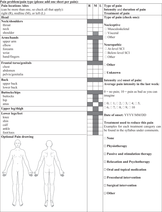 The international spinal cord injury pain basic data set (version 3.0)