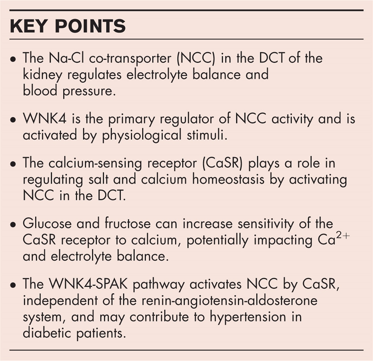 Regulation of the WNK4-SPAK-NCC pathway by the calcium-sensing receptor