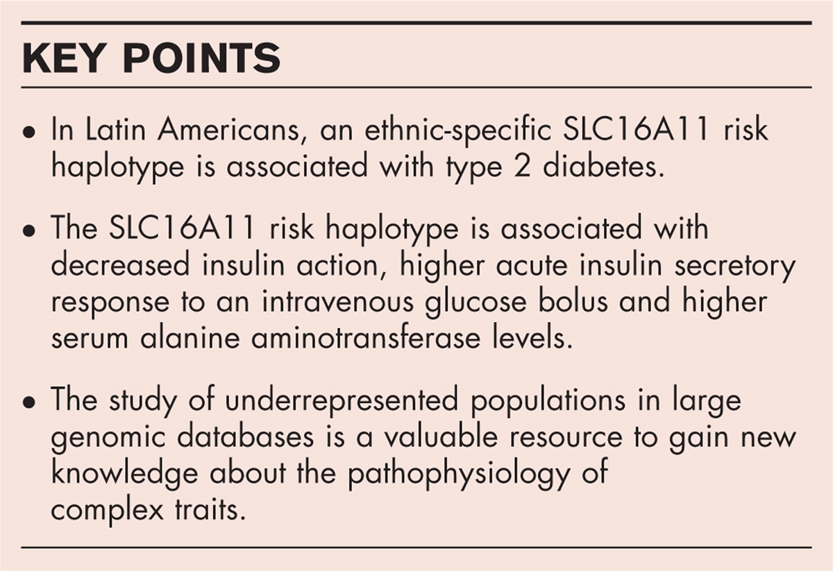 The role of SLC16A11 variations in diabetes mellitus