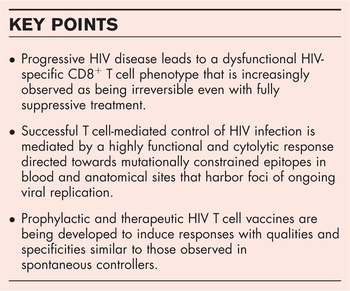 Features of functional and dysfunctional CD8+ T cells to guide HIV vaccine development