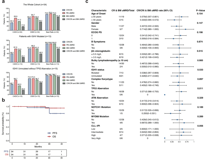 Ibrutinib plus fludarabine, cyclophosphamide and rituximab (iFCR) as initial treatment in chronic lymphocytic leukemia/ small lymphocytic leukemia with or without TP53 aberrations: a prospective real-world study in Chinese cohort