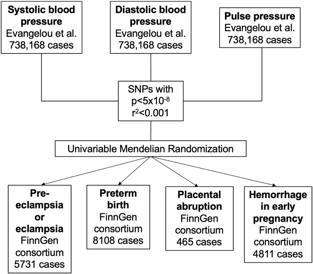 Maternal hypertensive traits and adverse outcome in pregnancy: a Mendelian randomization study