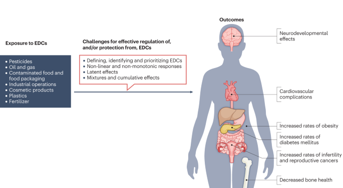 The regulation of endocrine-disrupting chemicals to minimize their impact on health