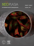 Altered endosomal-lysosomal biogenesis in melanoma