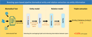 SPBERE: Boosting span-based pipeline biomedical entity and relation extraction via entity information