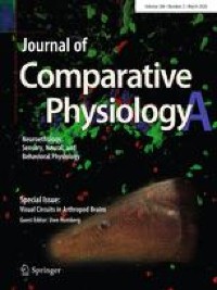 Measures and models of visual acuity in epipelagic and mesopelagic teleosts and elasmobranchs