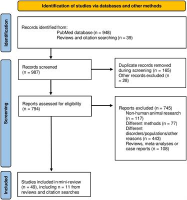 Imaging the cerebellum in post-traumatic stress and anxiety disorders: a mini-review